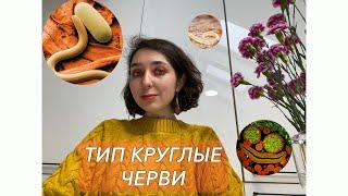 Урок "Тип Круглые черви" - ЦТ, ЕГЭ, ЗНО