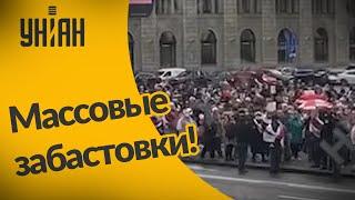 На акции протестов и забастовки в Беларуси вышли все: и школьники, и студенты, и пенсионеры!