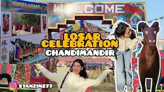 losar celebration at chandimandir #armylife #armybrat #ladakhivlog #losarfestival