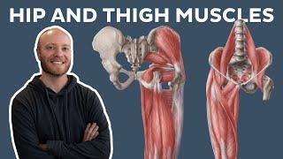 Muscles of the hip and thigh | Kenhub