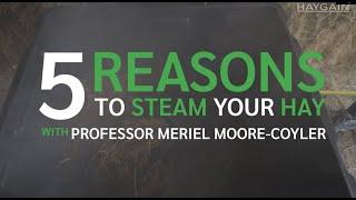 Haygain 5 reasons to steam hay