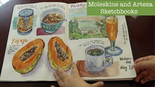 Watercolor Sketchbooks Review：Comparing Moleskine and Arteza. Which One is My Favorite?