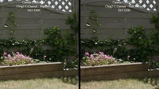 Canon C500mkii Full Frame vs S35 noise test new