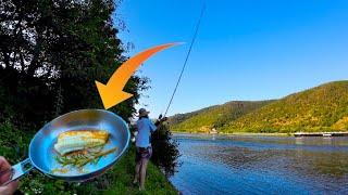 Angeln auf Zander am Rhein mit Grundeln als Köderfisch - Catch and Cook / Bis es beißt Ep. 3