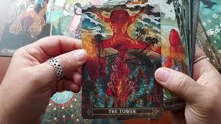 Unboxing Forhaxa Tarot by MJ Cullinane