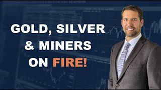 Stock Market, Gold, Silver, Miners, and Bitcoin Update