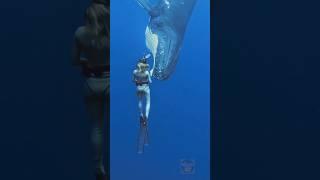Blood 🩸 release karne wali fish  #shorts #facts #viral