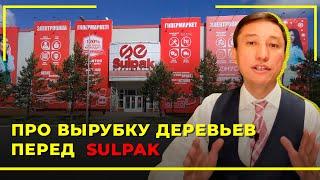 Про Вырубку Деревьев Перед Sulpak | Адвокат Таир Назханов