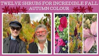 Twelve smaller shrubs for brilliant autumn | fall foliage!