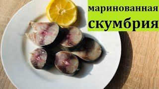 Маринованная скумбрия вкуснее красной рыбы! Рецепт для будней и на праздничный стол!