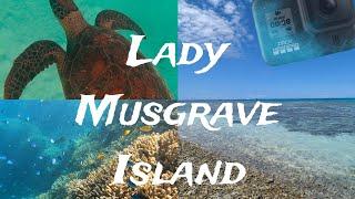 Exploring Lady Musgrave Island - Southern Great Barrier Reef