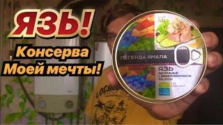 РЫБА ЯЗЬ ЗА 99 РУБЛЕЙ | КОНСЕРВА МОЕЙ МЕЧТЫ! ОБЗОР И ДЕГУСТАЦИЯ