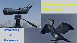 SVBONY SV406P spotting scope SC001 WIFI camera -Observation of migratory birds!