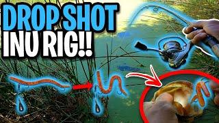 How To Set Up The INU RIG Drop Shot | New Japanese Fishing Technique