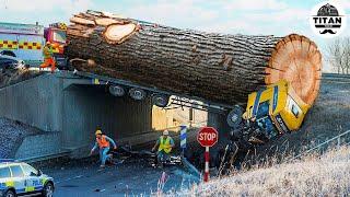 Extreme Dangerous Big Logging Wood Truck Driving Skill | Fastest Chainsaw Cutting Tree Machines #8