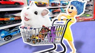 Joy Takes Hamster To The Supermarket!HAMSTER OBSTACLE COURSEHammyHappyTDC