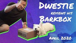 DWESTIE THE WESTIE PUPPY REVIEWS "NIGHT AT THE SQUEAKEASY" BARKBOX | APR 2020 BARKBOX REVIEW