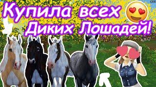 ПОКУПКА ВСЕХ ДИКИХ ЛОШАДЕЙ ЮРВИКА! | WILD HORSES OF JORVIK! | STAR STABLE