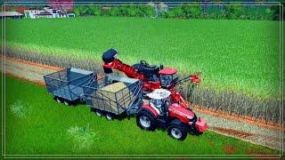 Farming Simulator 17 (CoursePlay) Уборка сахарного тростника.