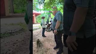 Angkor Nov Sen guide and driver. WhatsApp+(855)17331240