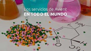 Value-Added Services (Spanish)