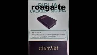 Suflet mintuit,roaga-te. Cintarea nr.369 mil.