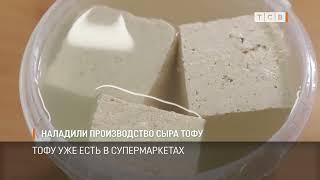 Наладили производство сыра тофу