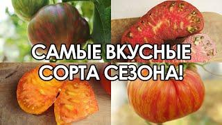 САМЫЕ ВКУСНЫЕ И НЕОБЫЧНЫЕ ТОМАТЫ! (ЛУЧШИЕ ЭКЗОТИЧЕСКИЕ СОРТА ТОМАТОВ, КОТОРЫЕ Я ВЫРАЩИВАЛ)