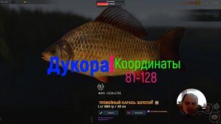 Fisher Online Пруд Дукора Троф Золотой Карась  81 -128