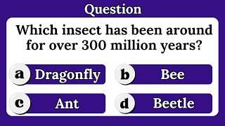 General Knowledge Questions About Animals | English Quiz Game | General knowledge quiz