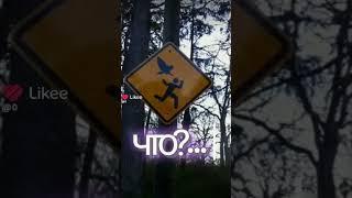 Они что существуют?... (видео моё) #феи #дорожныезнаки #магические_существа #рекомендации #хочуврек