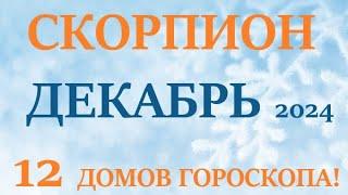 СКОРПИОН ДЕКАБРЬ 2024  Прогноз на месяц таро расклад Все знаки зодиака! 12 домов гороскопа!