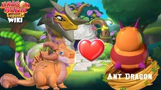 How to Breed Ant Dragon? | Dragon Mania Legends