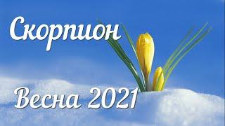 СКОРПИОН - ТАРО Прогноз. Март 2021. Работа. Финансы. Личная жизнь. Совет