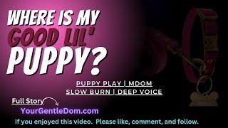 [Puppy Space ASMR] Where is My Good lil Puppy | M4F | Roleplay ASMR | Mdom | Comfort ASMR