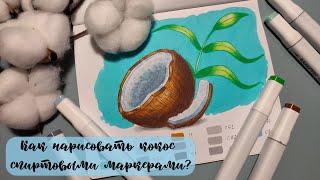 Как нарисовать кокос спиртовыми маркерами? | Пошаговый видеоурок