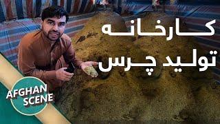 Hashish Factory in Afghanistan | چرس افغانستان چگونه تولید میشود؟ - دیدار از کارخانه چرس در پکتیا