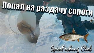 Сорога как из пулемёта! Попал на дикий клёв! Ловля на мормышку! Короткая рыбалка под конец дня!