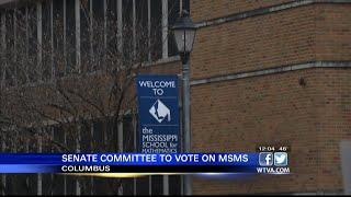 Senate committee to vote on MSMS bill at 4:00