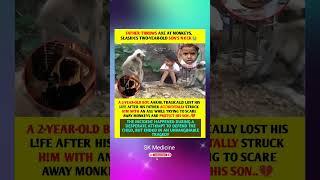 TRAGIC ACC!DENT: FATHER K!LLS SON WHILE SAVING HIM FROM MONKEYS#trendingshorts #viralshorts