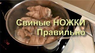  Свиные Ножки. Просто и Вкусно. Правильный Рецепт Отварные.