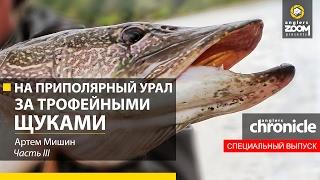 На Приполярный Урал за трофейными щуками. Часть 3. Артем Мишин. Anglers Chronicle