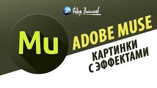 Виджет картинки с эффектами в Adobe Muse (CC 2015.1.2)