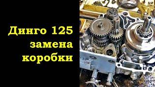 Динго 125 замена коробки