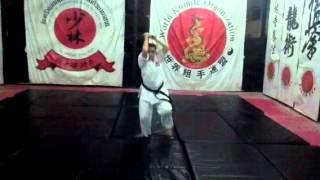 Shorin kempo pin yang sonna ni katana kata