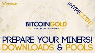 Prepare For Bitcoin Gold Mining, Downloads & Pools