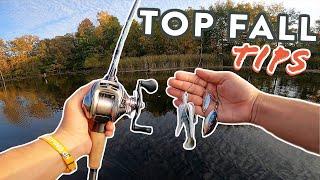 Fall Bass Fishing 101 | Catch More Bass In Fall Conditions