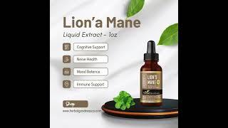 How Can Lion’s Mane Boost Brain & Nerve Health?