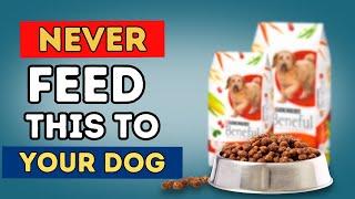 What Dog Food Do Vets NEVER Feed Their Pets? (The Surprising Truth)