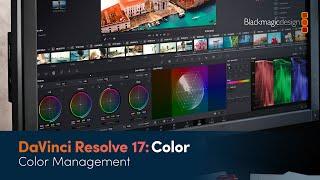 Обучающие материалы о грейдинге в DaVinci Resolve 17 Управление цветом